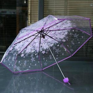 Floral Transparent Umbrella